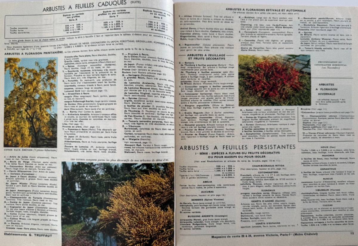 Catalogue Georges Truffaut - plantes, jardin, graines, 1958 - Vue 2 - Divers