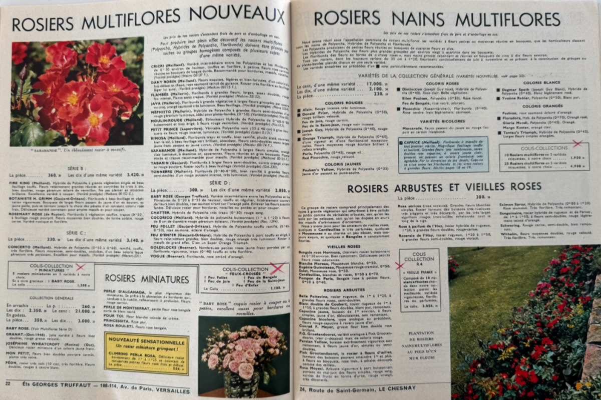Catalogue Georges Truffaut - plantes, jardin, graines, 1958 - Vue 6 - Divers