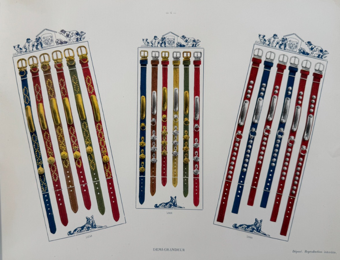 Catalogue de colliers et laisses pour chiens - rue du Temple a Paris - Vue 4 - Divers