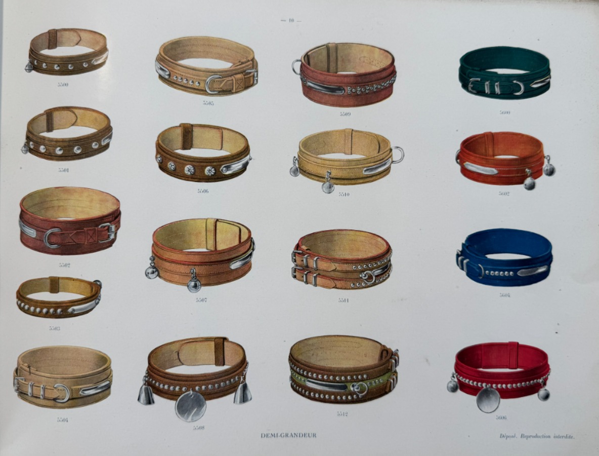 Catalogue de colliers et laisses pour chiens - rue du Temple a Paris - Vue 5 - Divers