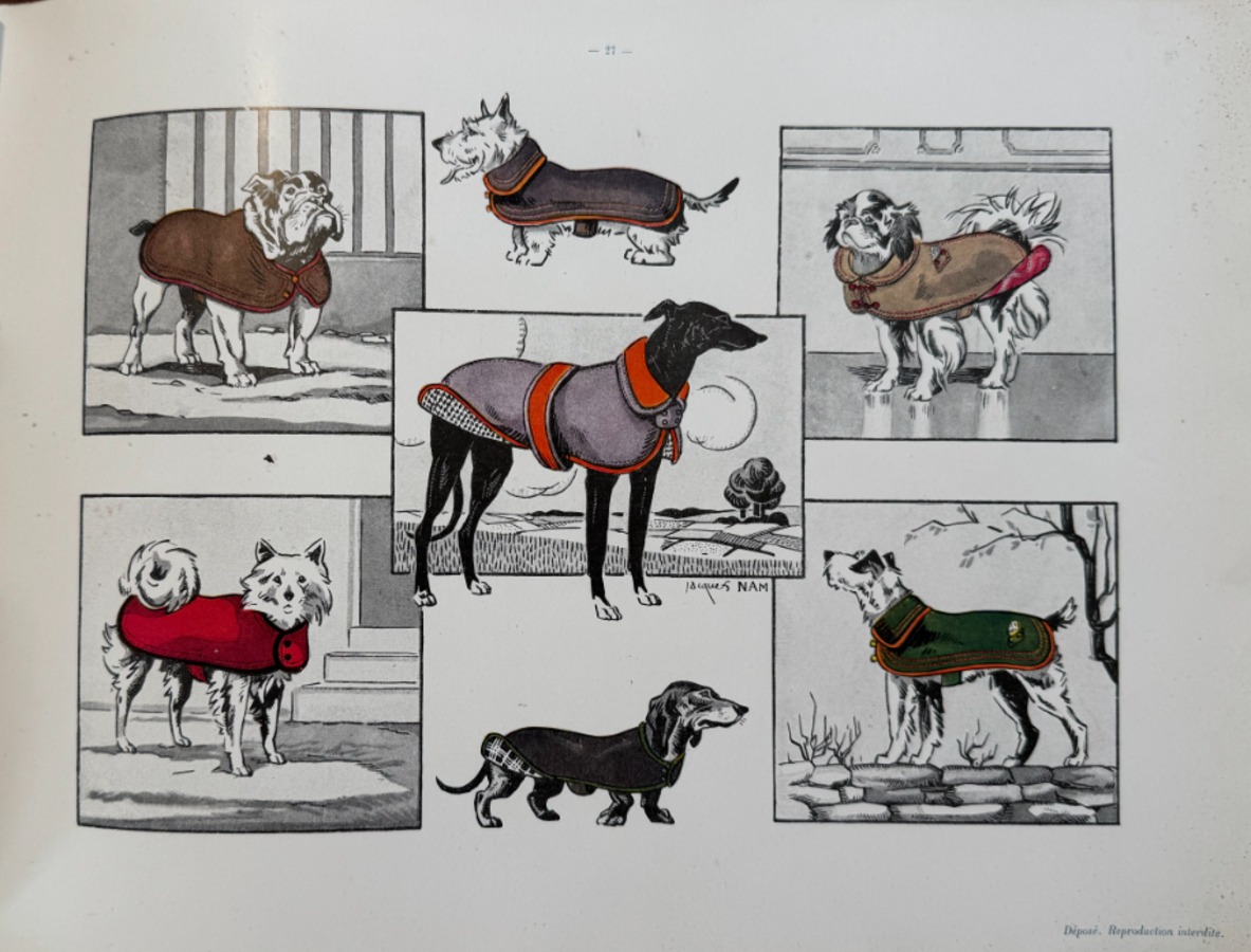 Catalogue de colliers et laisses pour chiens - rue du Temple a Paris - Vue 6 - Divers