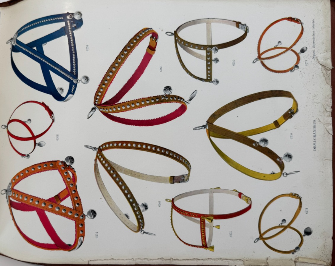 Catalogue de colliers et laisses pour chiens - rue du Temple a Paris - Vue 8 - Divers